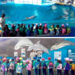 INFANTIL PASSA UN DIA AL ZOO