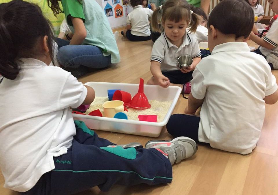 Taller d’experimentació a P2