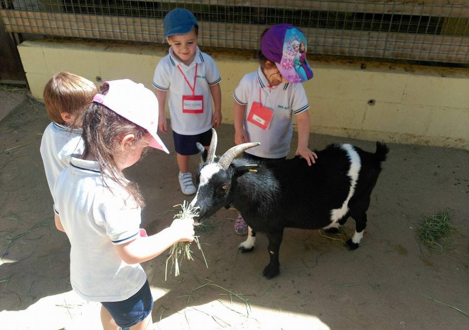 P2 a la granja del zoo
