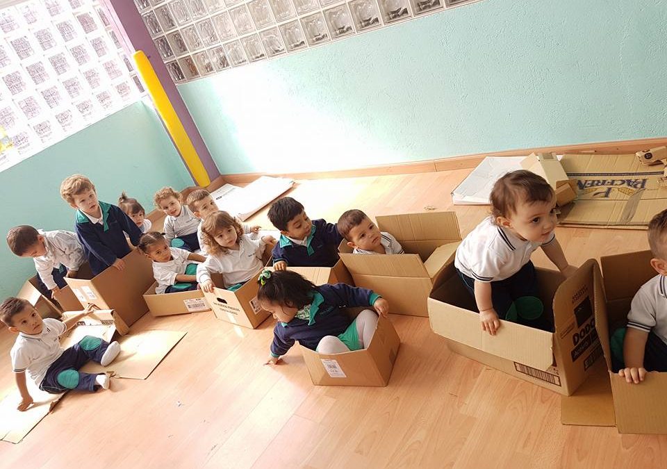 Capses de cartró a P1