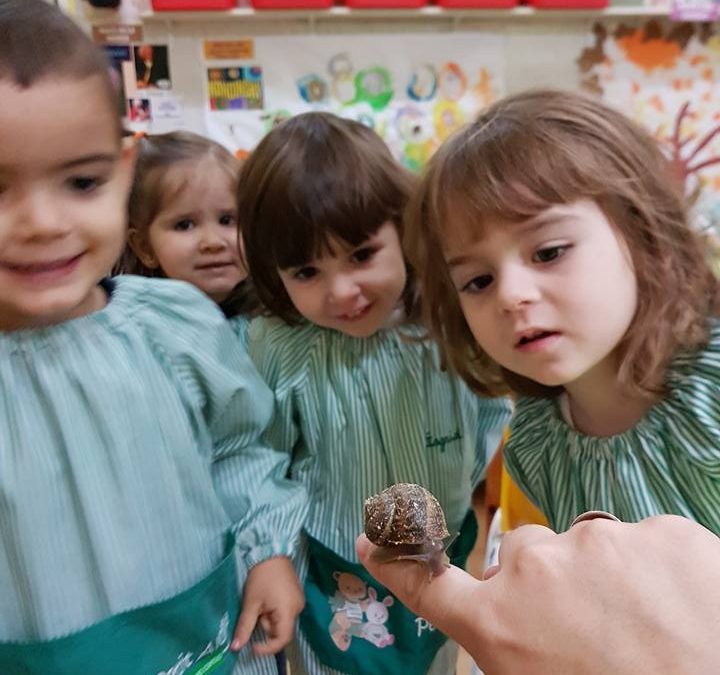 CUIDEM ELS NOSTRES CARGOLS A P.2!