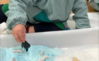 L’educació transforma allò ordinari en extraordinari 💕